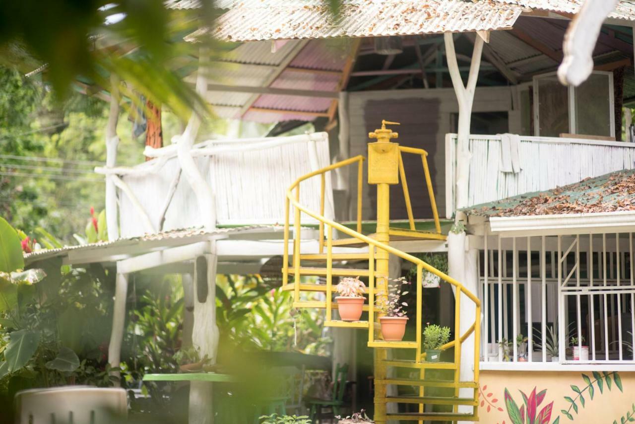 Madre Selva Hostel Puerto Viejo de Talamanca Exterior foto